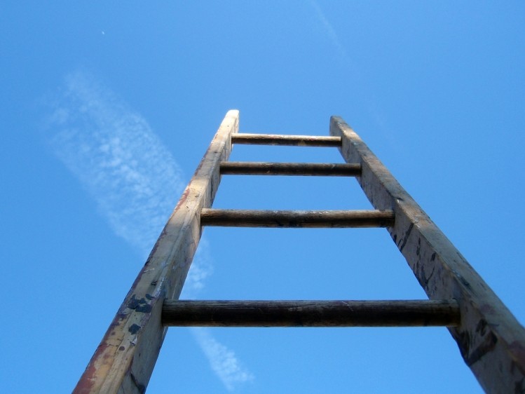 On the career ladder?