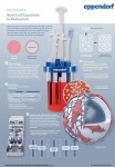 Free Infographic: Stem Cell Expansion in Bioreactors