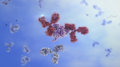 The companies will jointly conduct and share the antibody discovery and development program costs. (Image: iStock)