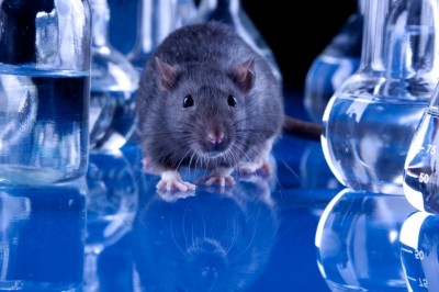 Animal research in drug development impossible to replace says European Commission
