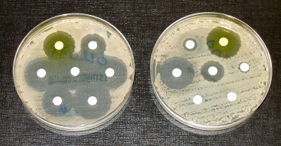 New technique can accelerate antibiotic discovery says US team