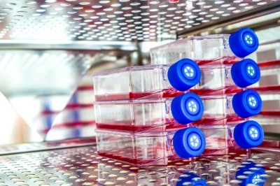 Lonza paper reveals secrets behind cGMP stem cell production