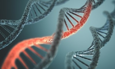 The CRO now offers custom in vivo and in vitro genome editing through a licensing arrangement with the Broad Institute of MIT and Harvard. (Image: iStock/ktsimage)