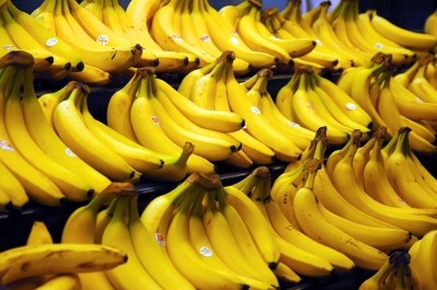 Engineered banana protein shows potential as potent antiviral
