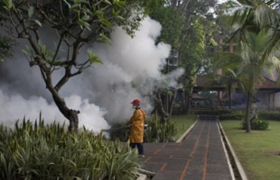 Regular fogging to prevent dengue and other diseases transmitted by mosquitoes in Bali, Indonesia.