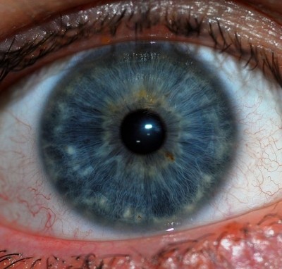 Oxford BioMedica and Sanofi get regulatory OK for restart of eye drug trials