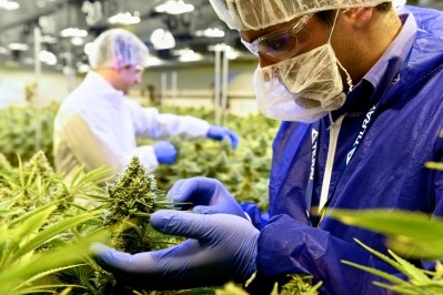 Tilray grows capacity at North America's only GMP cannabis facility