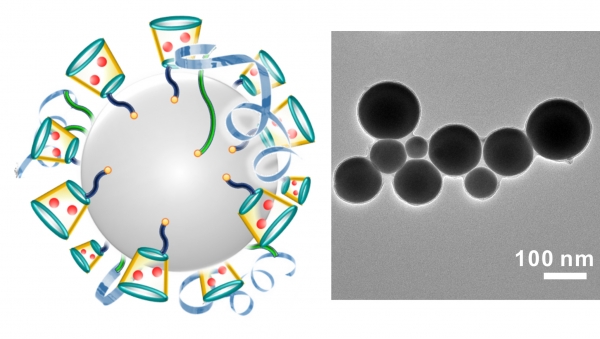 On left is a schematic illustration of liquid-metal ‘nano-terminators.’ The red spheres are Dox. At right is a representative TEM image of liquid-metal nano-terminators. Image credit: Yue Lu.