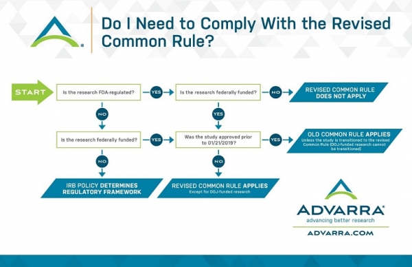 advarra revised common rule decision tree imAGE