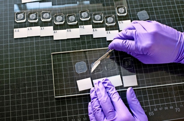 (Image: WAT-on-a-chip preparation at Fraunhofer IGB in Stuttgart. © Fraunhofer IGB)