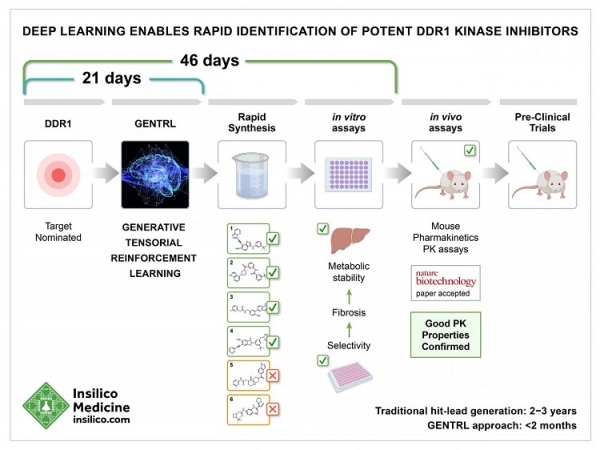 Deep Learning enables rapid identification of potent DDR1 Kinase Inhibitors.  (Image credit: Insilico Medicine)