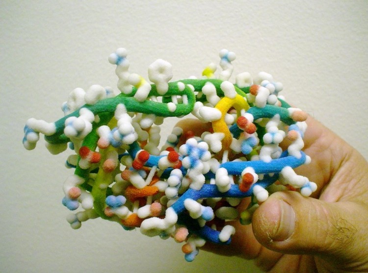 A model of the HIV protease printed on a 3D printer at the Scripps Institute