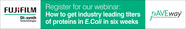 Industry leading titers of protein in E.coli