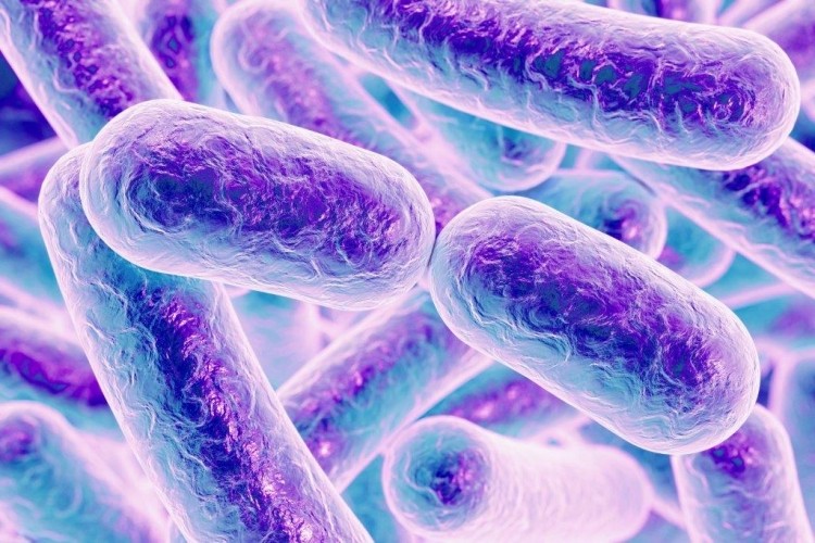 Bacteria such as Shigella, enterotoxigenic E. coli (ETEC) and Non-Typhoidal Salmonellosis account for 1 billion cases of diarrhoea yearly. Image: iStock/Dr_Microbe 