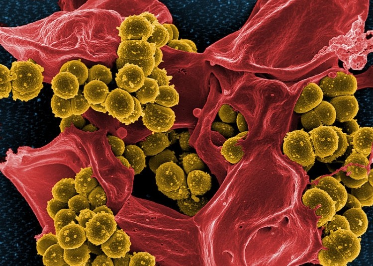 Single-use injection could help stop resistance from bacteria such as MRSA