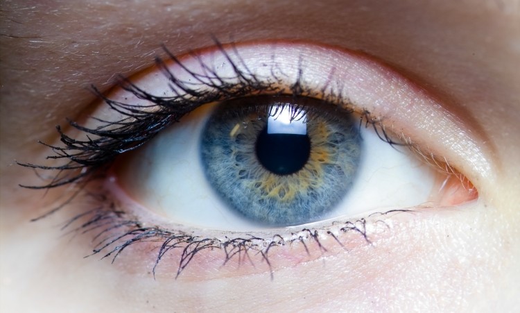 Ocular CROs ally to meet demand for global clinical trials