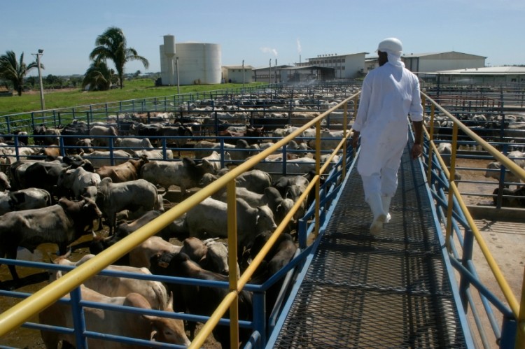 EMA revizes bovine serum testing rules