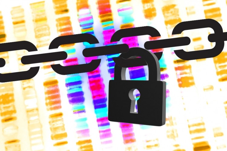 Researchers have developed a new system that permits database queries for genome-wide association studies, but reduces the chances of privacy compromises to almost zero. (Illustration: Christine Daniloff/MIT)