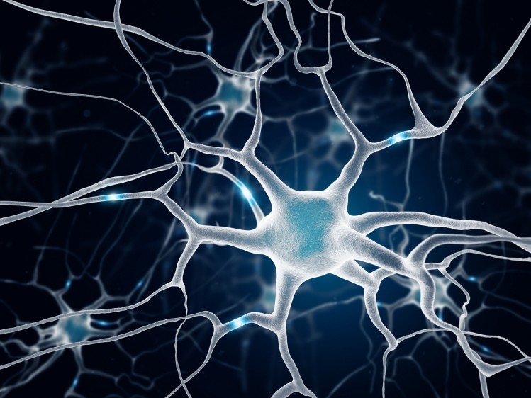 The project is titled “Developing an ethical, sustainable, human sensory neuron cell culture model for use in therapeutic pain research,” or DRGNET. (Image: iStock/bodym)