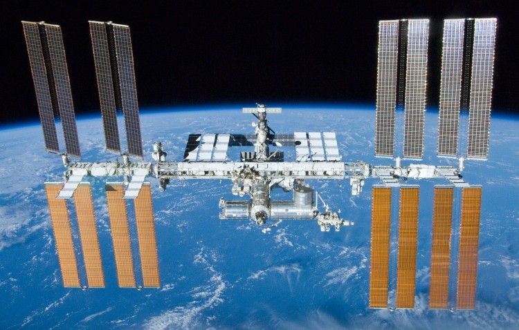 Animals will test the device on the International Space Station. (Picture: NASA)