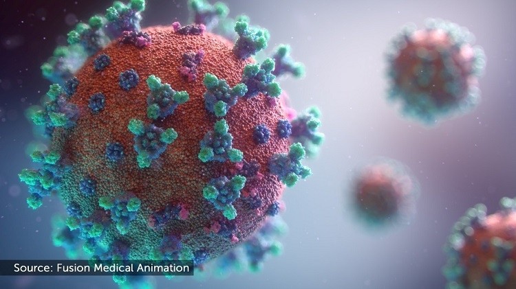 (Latest 3D visualisation of the covid-19 virus by Fusion Medical Animation)