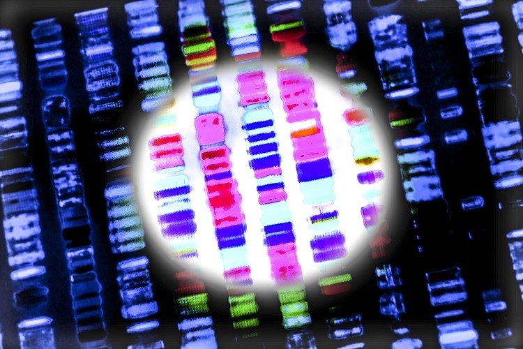 WCG and InformedDNA have formed a strategic partnership and will create a Center for Genetics and Precision Medicine in Clinical Trials. (Image: Getty/Gio_tto)