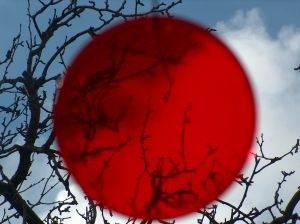 Japan Gets 'Third-Country' Status to Import APIs to the EU
