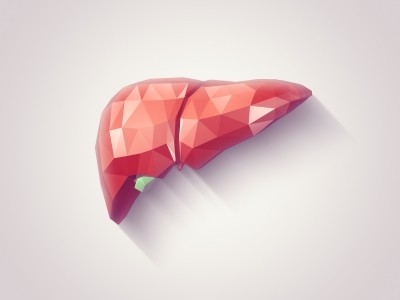 Hepatotoxicity, or drug induced liver injury (DILI) is one of the leading causes of adverse events during clinical trials. (Image: iStock/eranicle)