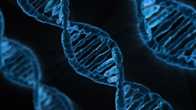 AstraZeneca goes big on CRISPR, despite Cellectis patent