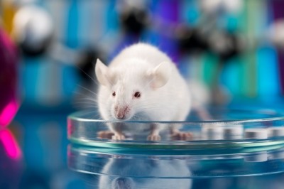 Animal housing to be part of Crown Biosciences expansion 