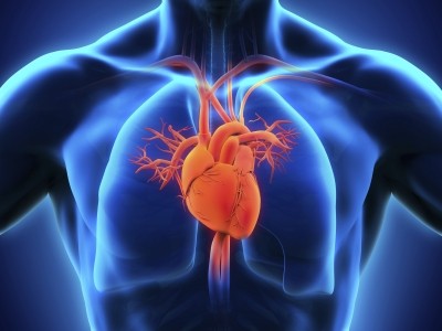 iCardiac Technologies, Inc., is a laboratory for cardiac safety and respiratory services. (Image: iStock/erthuz)