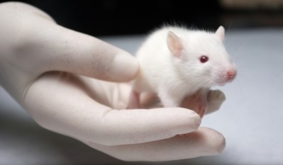 EMA concept paper focuses on quality control with animal tests