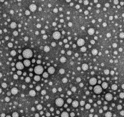 Drug particles, minus excess surfactant, suspended in an injectable solution. (Image: Jonathan Lovell, University at Buffalo)