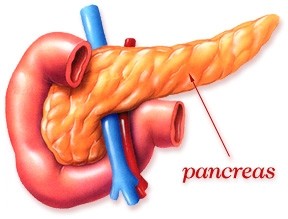 Oncologist: Delivery is key for improving pancreatic cancer treatment