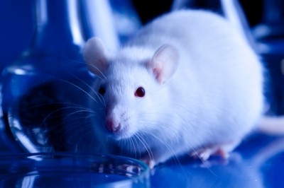Shott Trinova to add API capacity at ex-Covance animal testing site