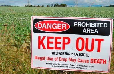 GSK: GM yeast breakthrough won't kill off poppy-based opium 