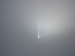 Fog, yesterday