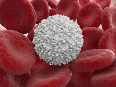 Hemispherx secures replacement for blood cell supplier BioLife