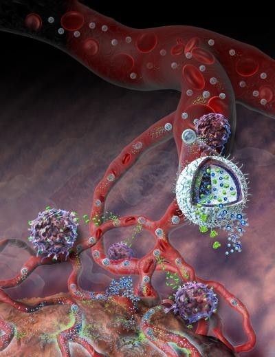 Illustration of the nanolipogel administering its immunotherapy cargo.