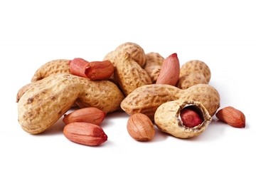 Rho offers support for NIH trial on peanut allergies