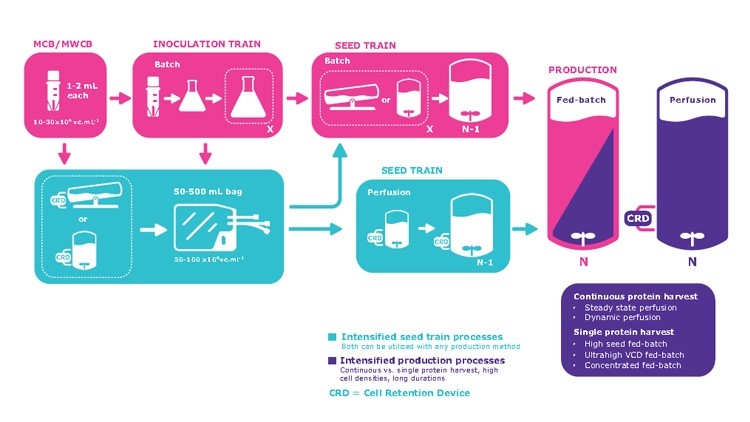 Driving value towards the evolution of upstream processes - Case Study: Intensified Seed Train