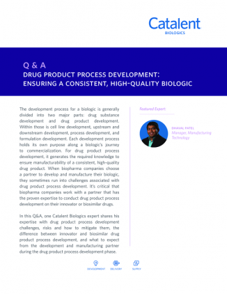 Q&A: Effective Drug Product Process Development