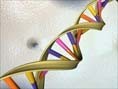 GE buys genomic services CRO