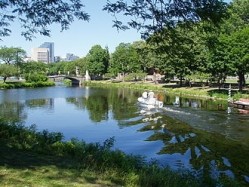 A sunny day on the 'Charles River,' Massachusetts. The CRO namesake could see sunny days if preclinical pricing rises
